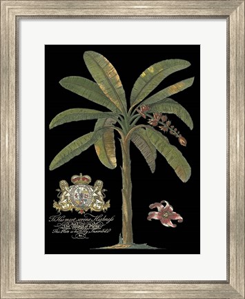 Framed Palm on Black II Print
