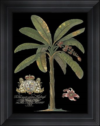 Framed Palm on Black II Print