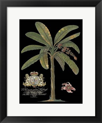 Framed Palm on Black II Print