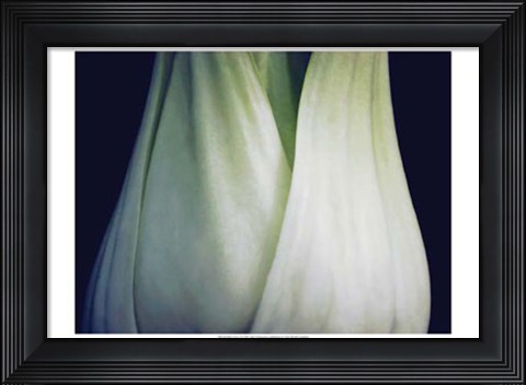 Framed Bok Choy I Print