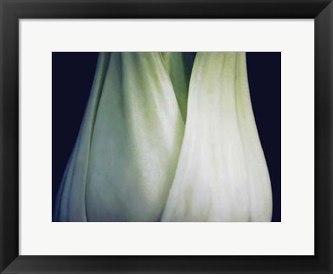 Framed Bok Choy I Print