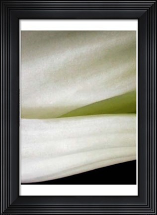 Framed Bok Choy II Print