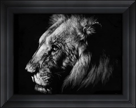 Framed Wildlife Scratchboards I Print