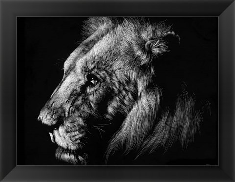 Framed Wildlife Scratchboards I Print