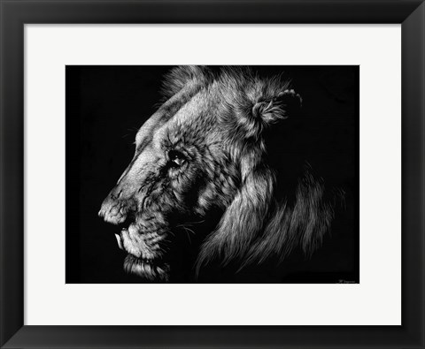 Framed Wildlife Scratchboards I Print