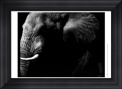 Framed Wildlife Scratchboards III Print