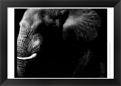 Framed Wildlife Scratchboards III Print