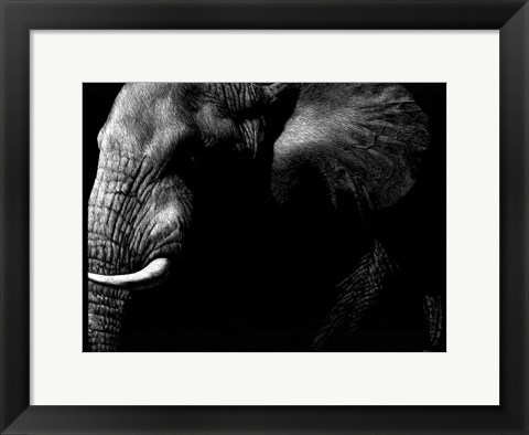 Framed Wildlife Scratchboards III Print