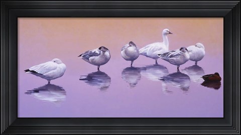 Framed Odd Man Out Print