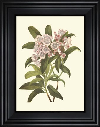 Framed Garden Potpourri I Print
