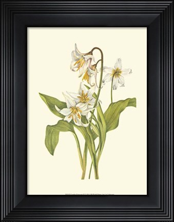 Framed Garden Potpourri II Print