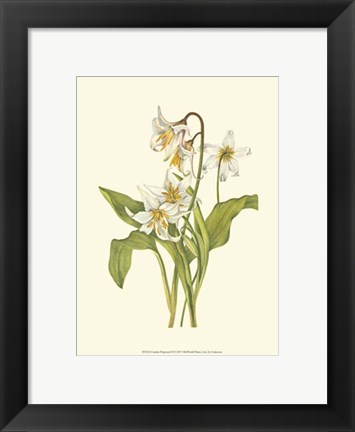 Framed Garden Potpourri II Print