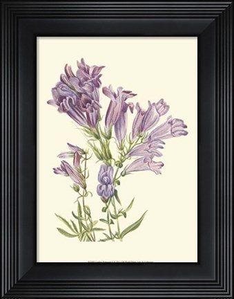 Framed Garden Potpourri V Print