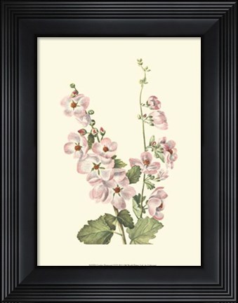 Framed Garden Potpourri VI Print
