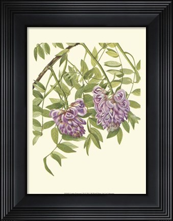 Framed Garden Potpourri VII Print
