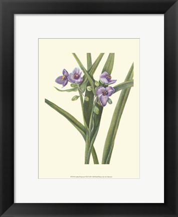 Framed Garden Potpourri VIII Print