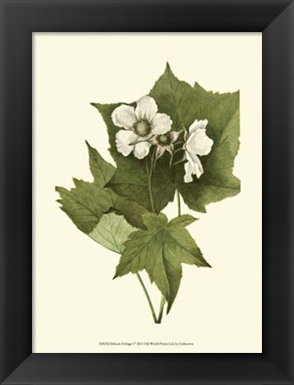 Framed Delicate Foliage I Print