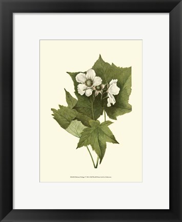 Framed Delicate Foliage I Print