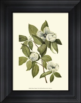 Framed Delicate Foliage II Print
