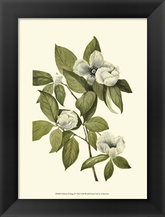 Framed Delicate Foliage II Print