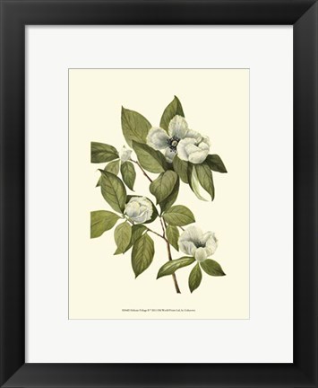 Framed Delicate Foliage II Print
