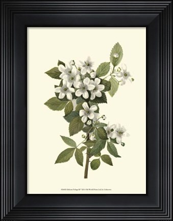 Framed Delicate Foliage III Print