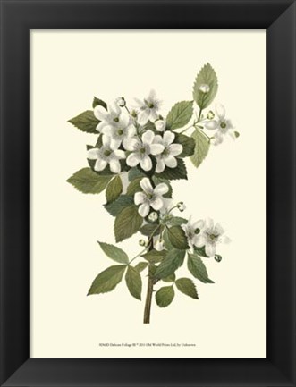 Framed Delicate Foliage III Print