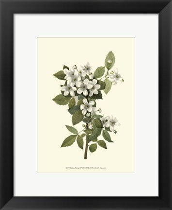 Framed Delicate Foliage III Print