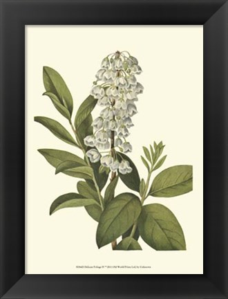 Framed Delicate Foliage IV Print