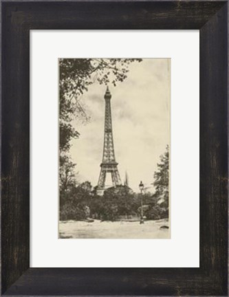 Framed Summer in France VIII Print
