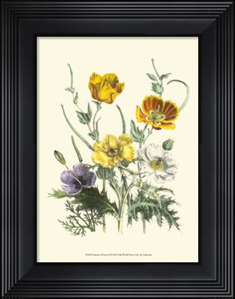 Framed Summer Flowers II Print