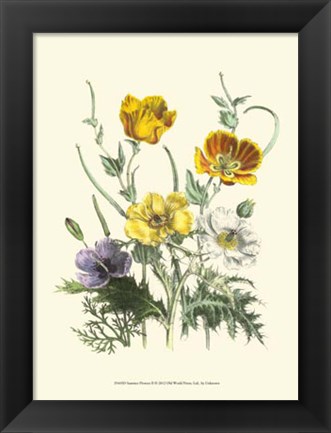 Framed Summer Flowers II Print