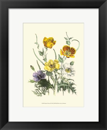 Framed Summer Flowers II Print