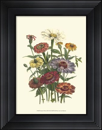 Framed Summer Flowers III Print