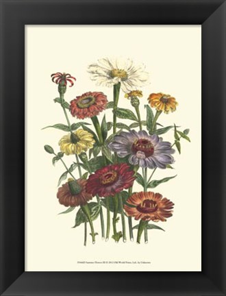 Framed Summer Flowers III Print