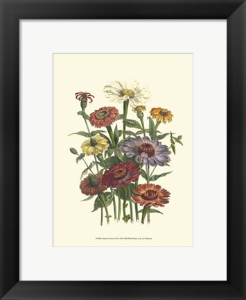 Framed Summer Flowers III Print