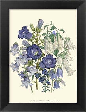 Framed Florals I Print