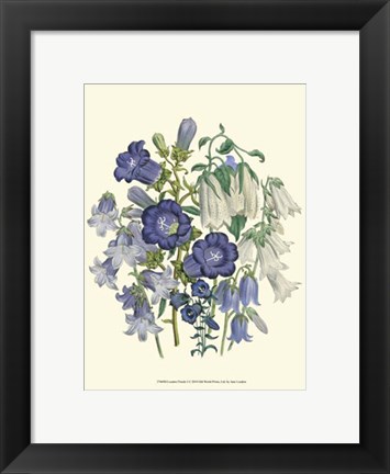 Framed Florals I Print