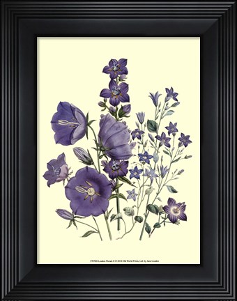 Framed Florals II Print