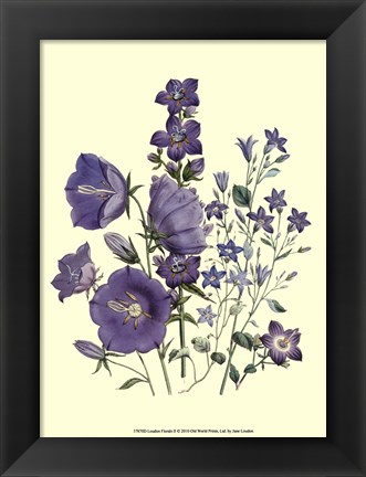 Framed Florals II Print