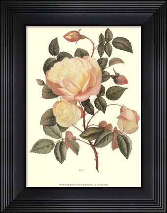 Framed Vintage Roses IV Print