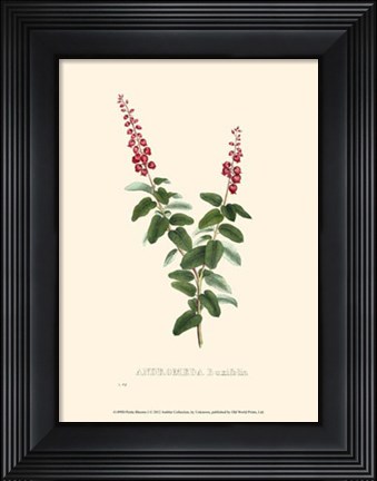 Framed Petite Blooms I Print