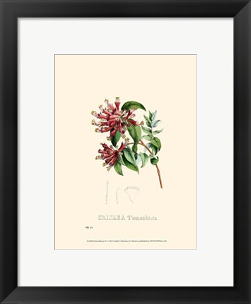 Framed Petite Blooms IV Print