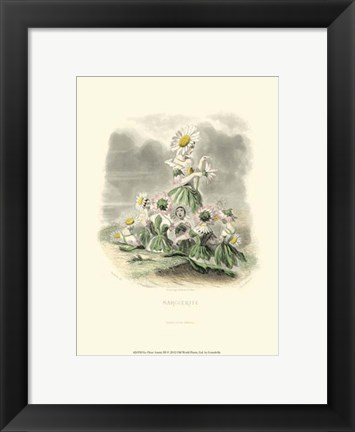 Framed Le Fleur AnimT III Print