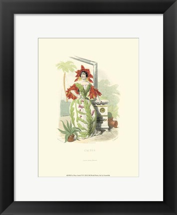 Framed Le Fleur AnimT VI Print