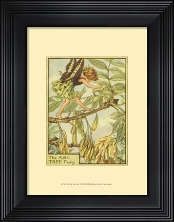 Framed Ash Tree Fairy Print