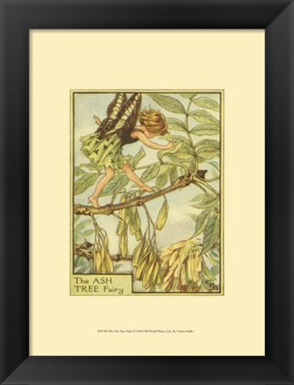 Framed Ash Tree Fairy Print
