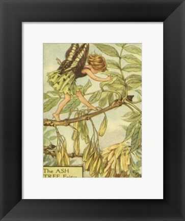 Framed Ash Tree Fairy Print