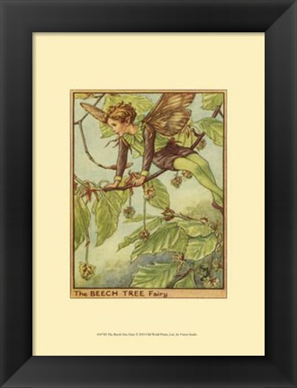 Framed Beech Tree Fairy Print