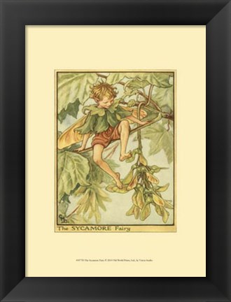 Framed Sycamore Fairy Print